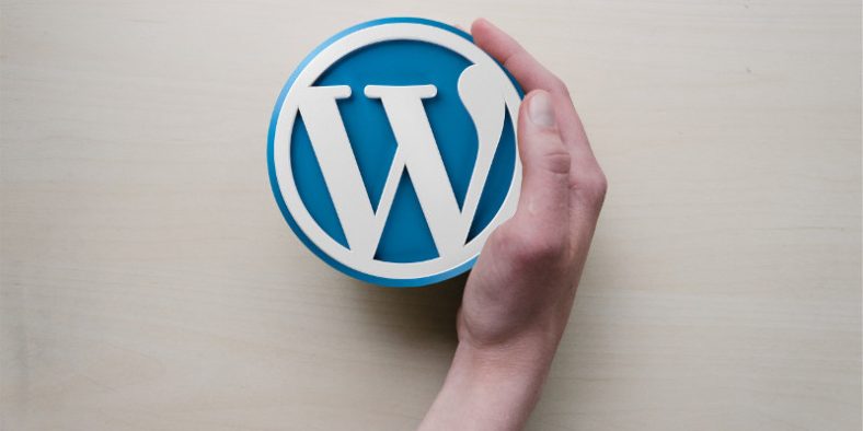 Plugin WordPress Untuk Meningkatkan Performa Blog Anda