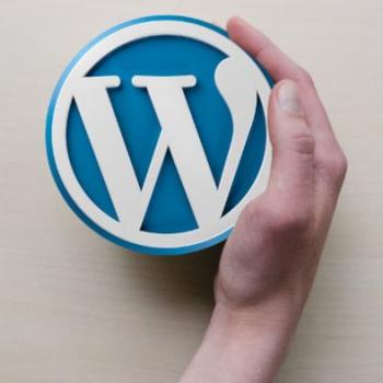 Plugin WordPress Untuk Meningkatkan Performa Blog Anda
